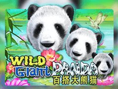 Wild Giant Panda game screenshot